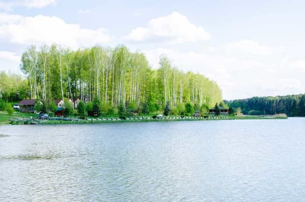 Берёзка 54