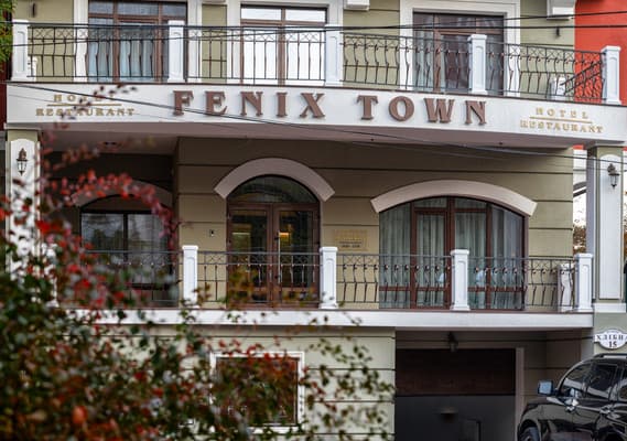 Fenix Town 1