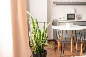 Апарт-готель Trend House Apartments. Апартаменти двомісний №13 8